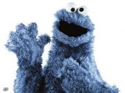 Sinds 5 juni 2012 is de nieuwe telecommunicatiewet van kracht met hierin uitgebreide regelgeving omtrent het gebruik van cookies door websites.
De kans is groot dat uw website aangepast dient te worden om te voldoen aan de wettelijke eisen.